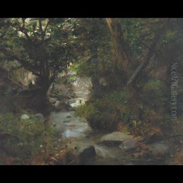 A Forest Stream - view 1