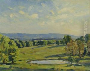 The South Down