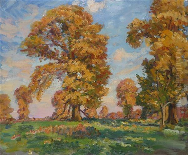 Autumn Elm Trees - view 1