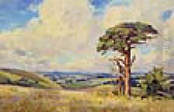 Wiltshire Downs - view 1