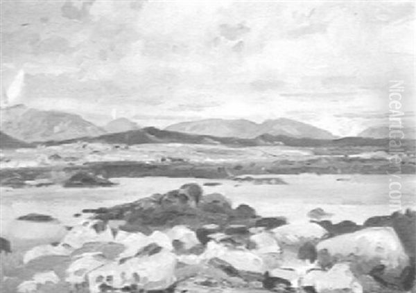 Rocky Coast - view 1