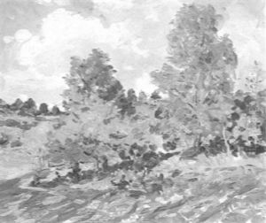 Trees In A Summer Landscape