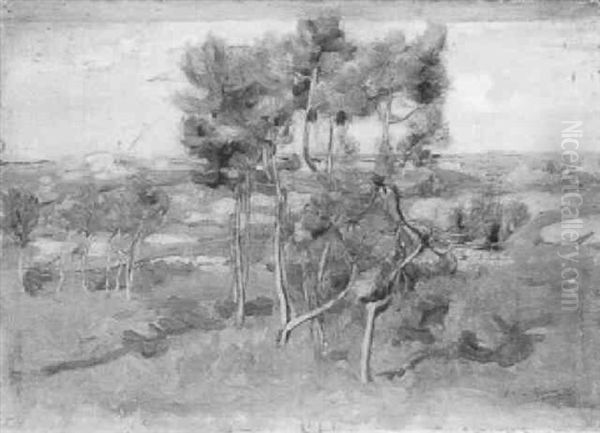 Landscape With Pines, South Of France - view 1