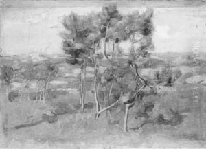 Landscape With Pines, South Of France