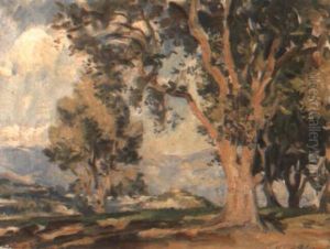 Provencal Landscape