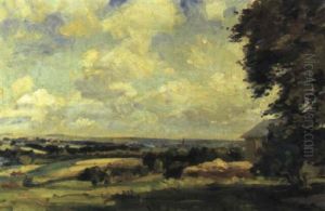 Salisbury From The Downs