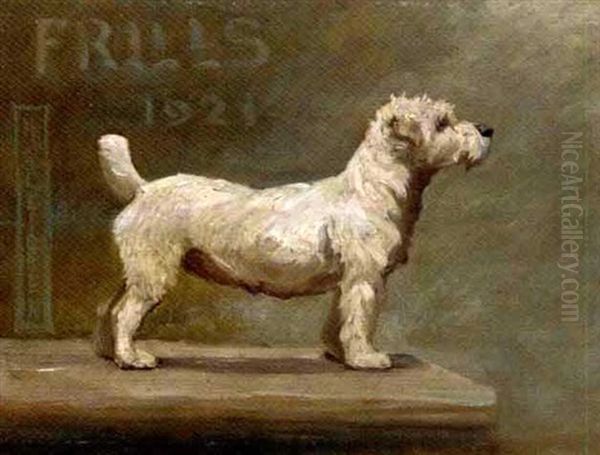 "frills" - A West Highland Terrier - view 1