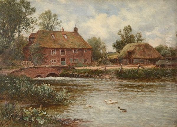 The Duck Pond - view 1