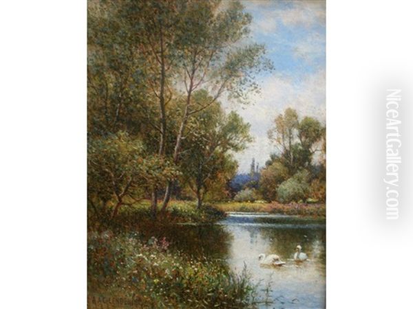 The Swans' Haunt - view 1