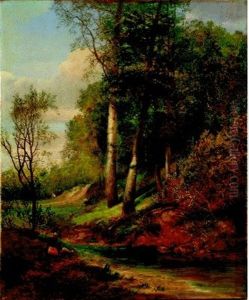Waldlichtung Mit Rastendem Wanderer