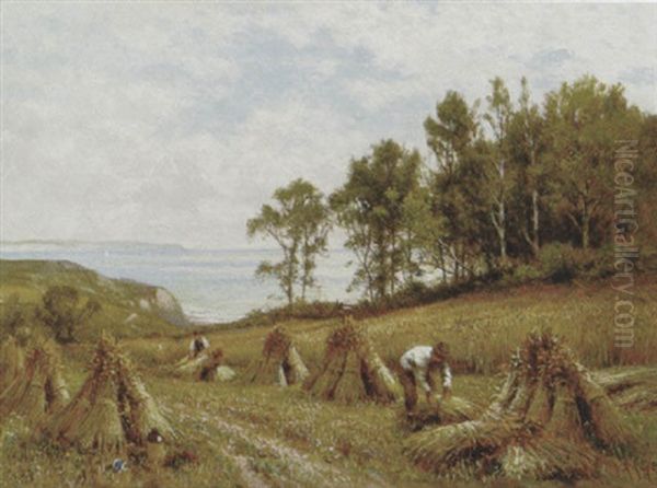 In The Cornfields, Near Luccombe, Isle Of Wight - view 1