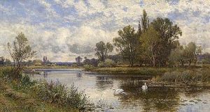 The Cottage Garden