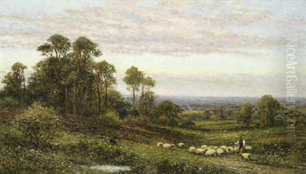 Shepherd And His Flock - view 1