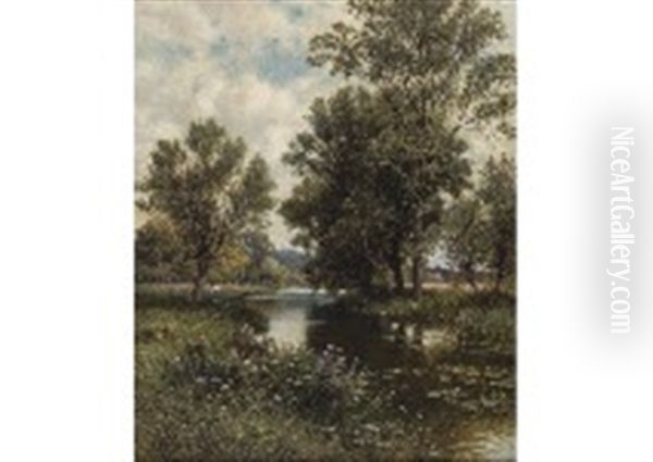 Spring In The Forest - view 1