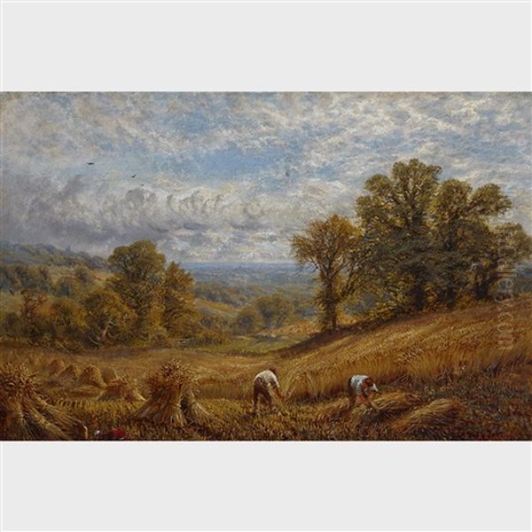 The Time Of The Harvest - view 1