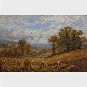 The Time Of The Harvest The Time Of The Harvest