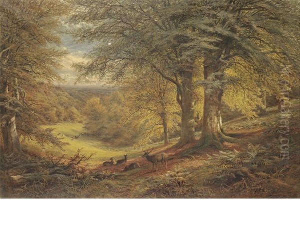 Under The Beeches - view 1