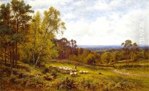 Lessness Common, Kent