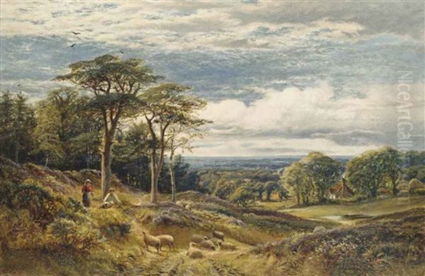 The Shepherd's Distraction - view 1