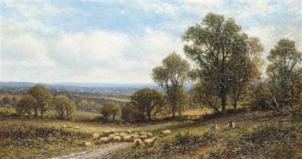A Shepherd And His Flock - view 1