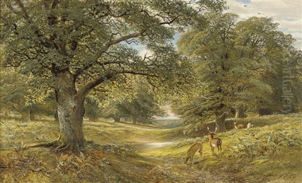 Deer In A Wooded Landscape - view 1