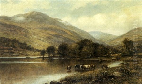 Cattle Watering In A Valley River - view 1