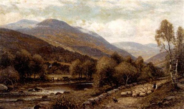Herding The Sheep - view 1
