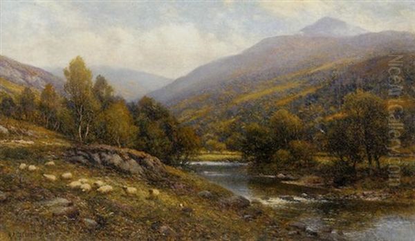 Moel Siabod, Near Capel Curig, North Wales - view 1