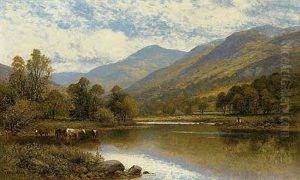 Cattle Watering, North Wales Cattle Watering, North Wales