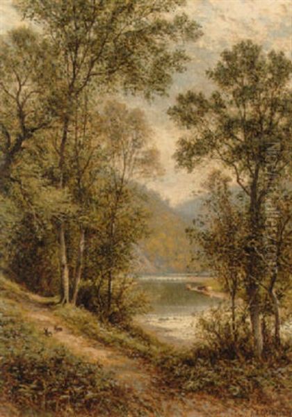 Path On The River Bank - view 1