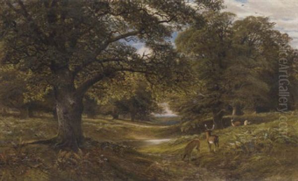 In The Deer Park - view 1