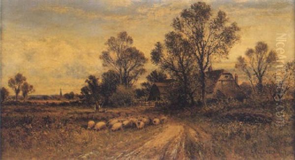 Driving Sheep - view 1