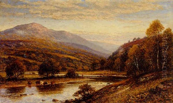 Cattle Watering With A Fisherman Beyond - view 1