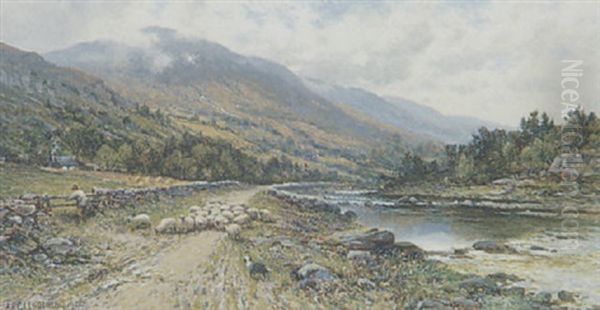 Sheep On A Riverside Path - view 1