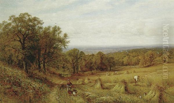 Harvest Time - view 1