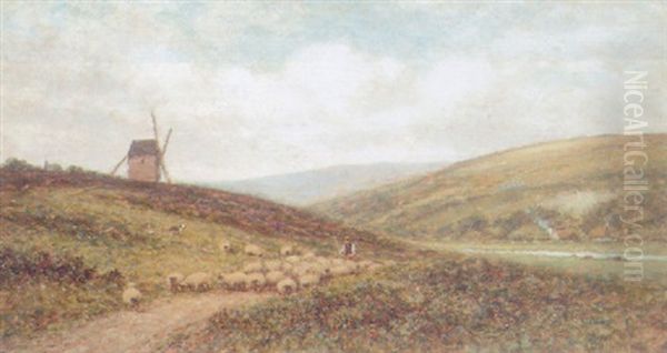 The Sussex Downs - view 1