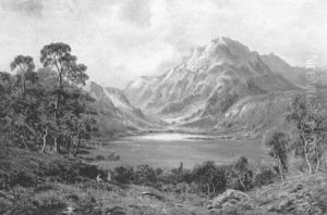 Near Cader Idris, N. Wales
