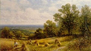 A Surrey Cornfield, Near Dorking