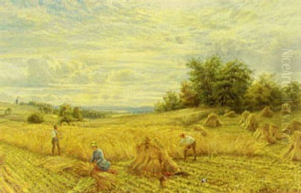 Harvest Time - view 1