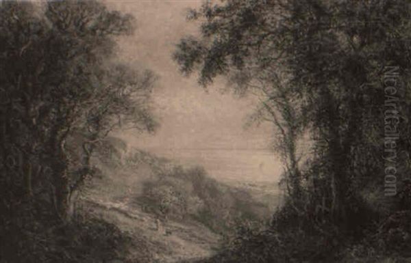 Fairlight Glen, Hastings - view 1