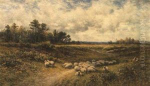 The Shepherd's Rest The Shepherd's Rest