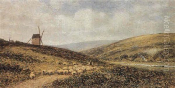Sheep And Shepherd On A Country Lane - view 1