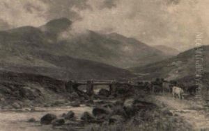 Driving Cattle Near Capel Curig