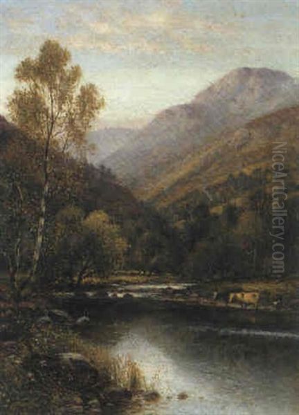 Cattle Watering In A Highland Valley - view 1