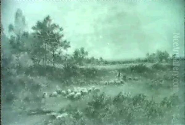Return Of The Flock - view 1