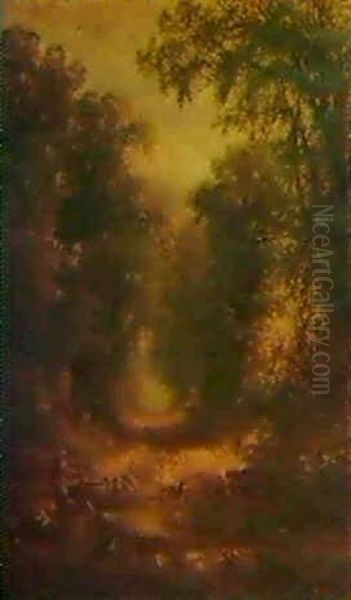 A Shady Lane - view 1
