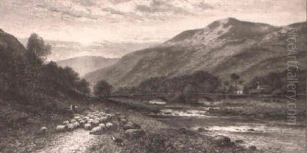Expansive Landscape With Sheep - view 1
