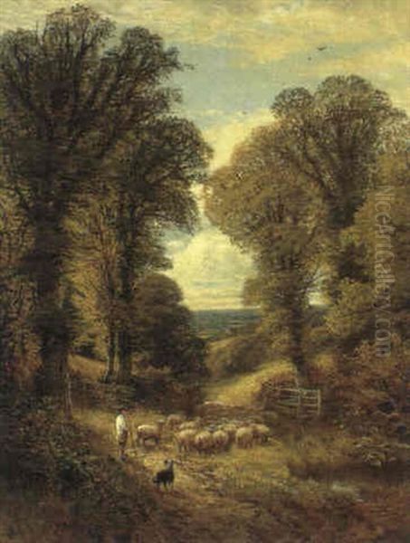 Herding Sheep - view 1