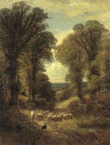 Herding Sheep Herding Sheep