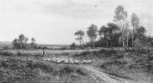 A Shepherd With His Flock - view 1